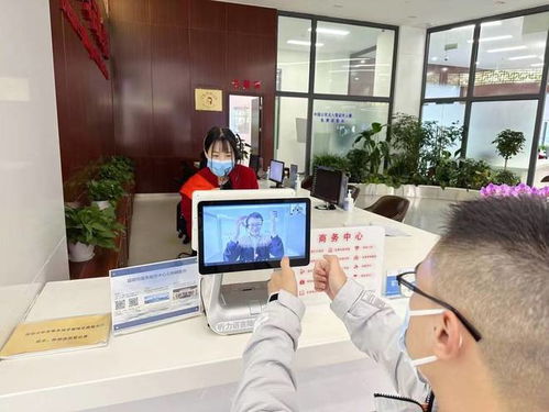 “无声”的窗口，有爱的桥梁 昆明市政务服务中心上线手语翻译服务